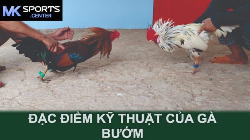 Đặc điểm kỹ thuật của gà bướm