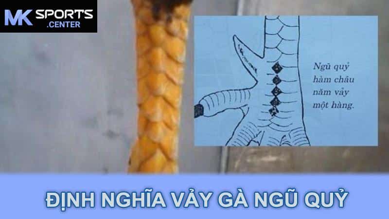 Định Nghĩa Vảy Gà Ngũ Quỷ