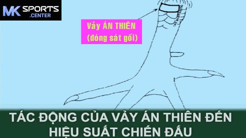 Tác động của vảy án thiên đến hiệu suất chiến đấu