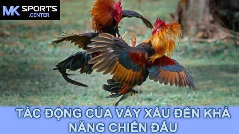 Tác động của vảy xấu đến khả năng chiến đấu