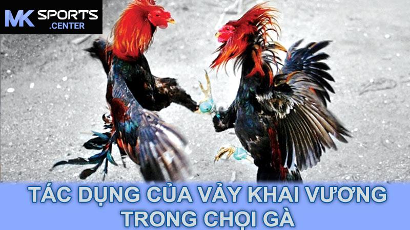 Tác Dụng Của Vảy Khai Vương Trong Chọi Gà