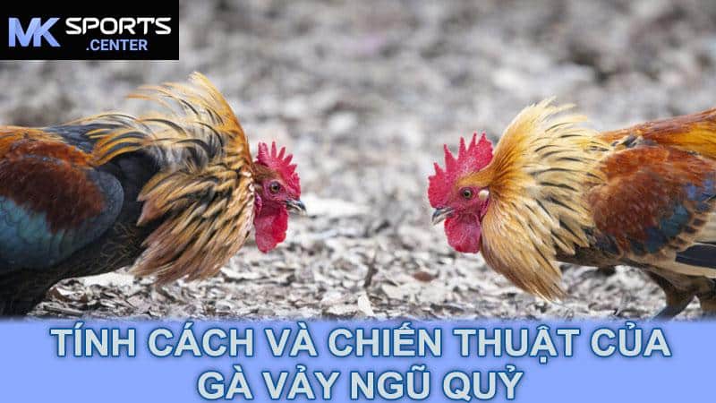 Tính Cách Và Chiến Thuật Của Gà Vảy Ngũ Quỷ