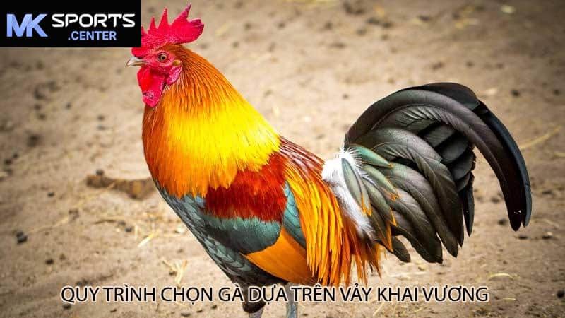 Quy Trình Chọn Gà Dựa Trên Vảy Khai Vương