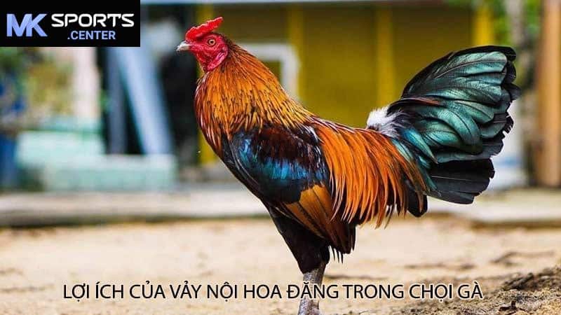 Lợi Ích Của Vảy Nội Hoa Đăng Trong Chọi Gà